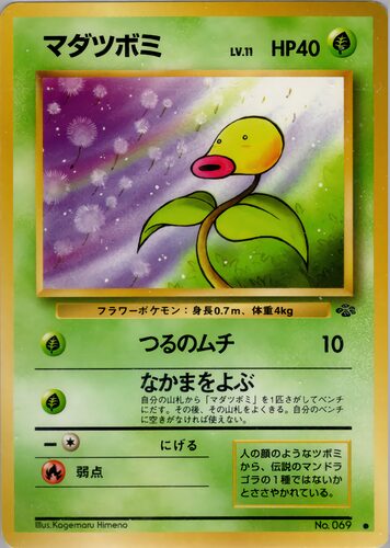 マダツボミ