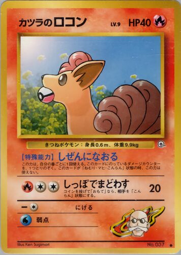 ロコン