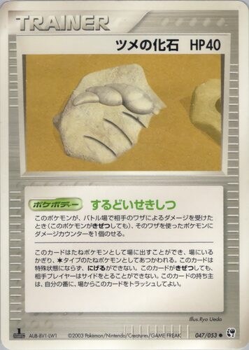 ツメの化石