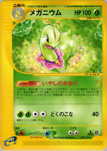 メガニウム