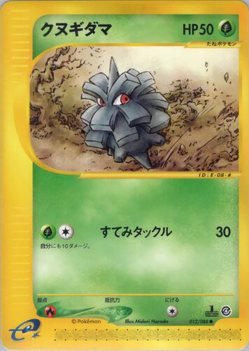 クヌギダマ