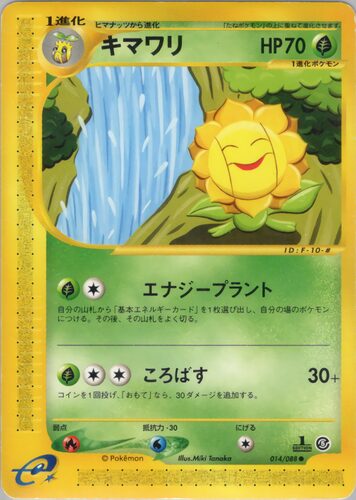 キマワリ
