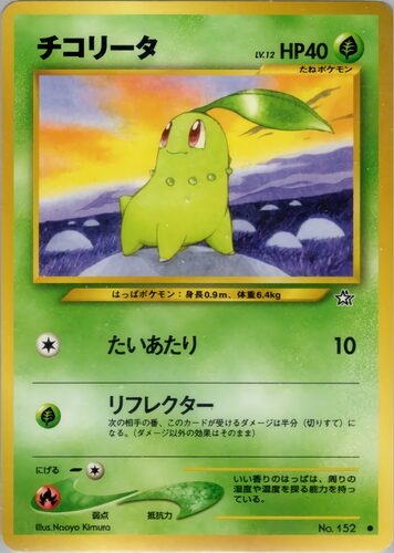 チコリータ