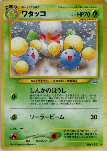ワタッコ
