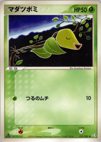 マダツボミ
