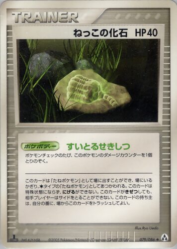 ねっこの化石