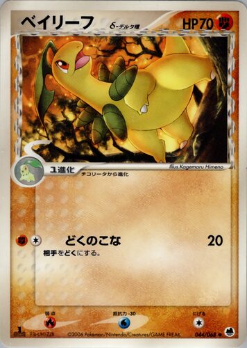 ベイリーフ
