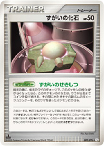 ずがいの化石