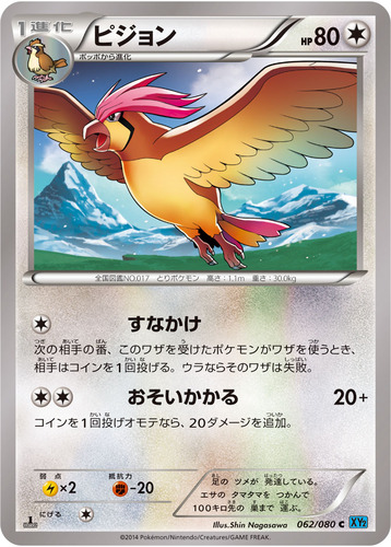 ピジョン