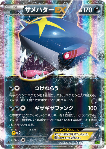 サメハダー