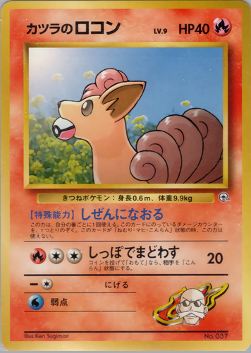 カツラのロコン