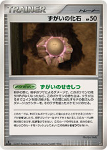 ずがいの化石