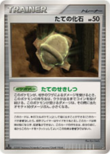 たての化石