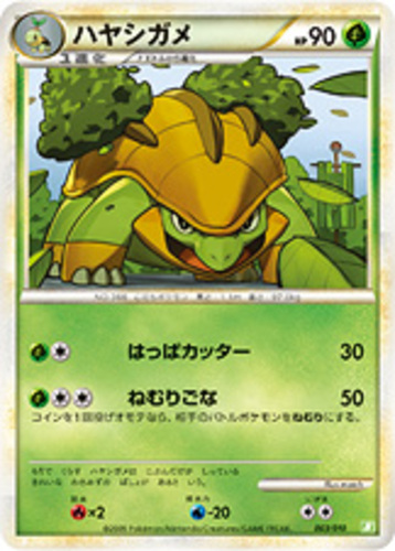 ハヤシガメ