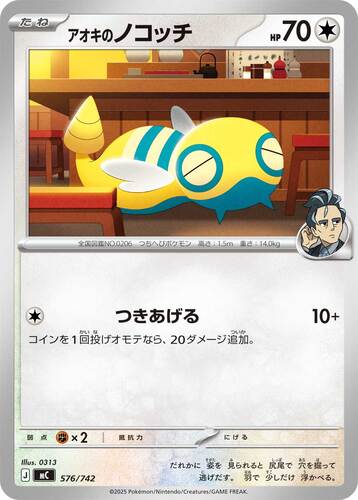 アオキのノコッチ
