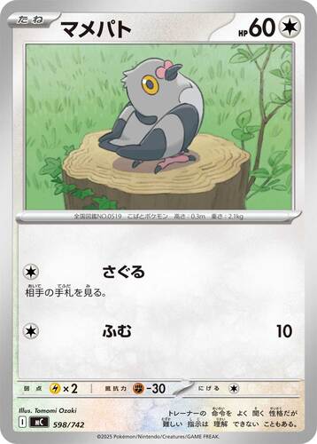 マメパト