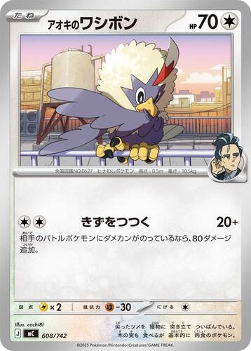 アオキのワシボン
