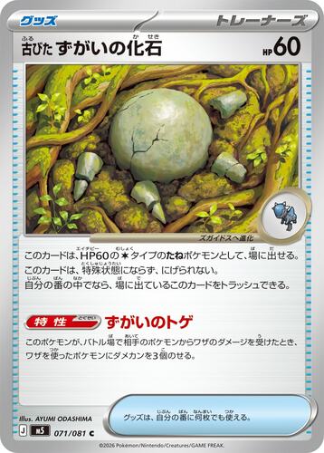 古びた ずがいの化石