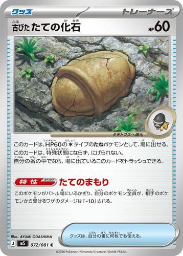 古びた たての化石