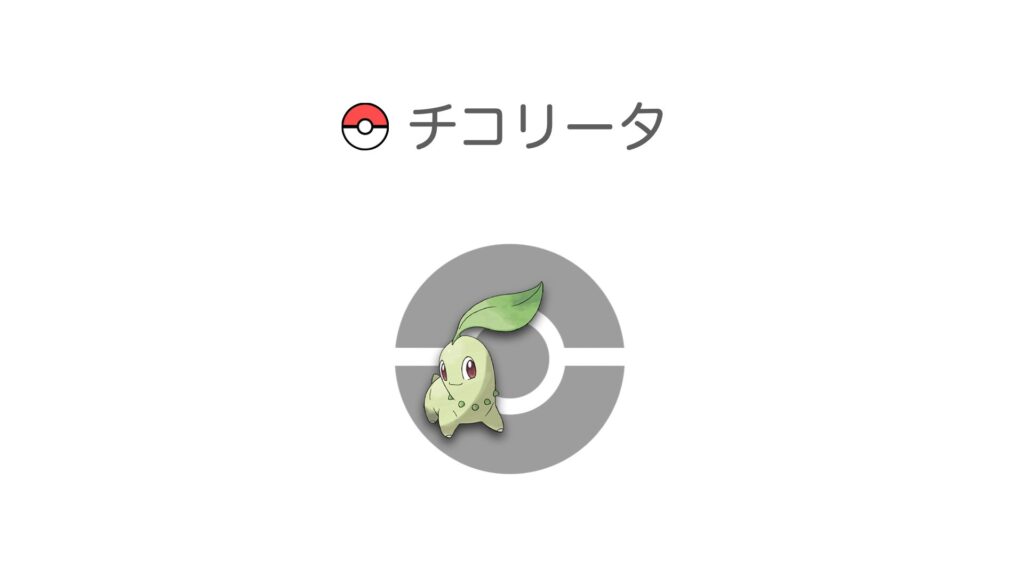 チコリータ