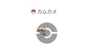 カムカメ