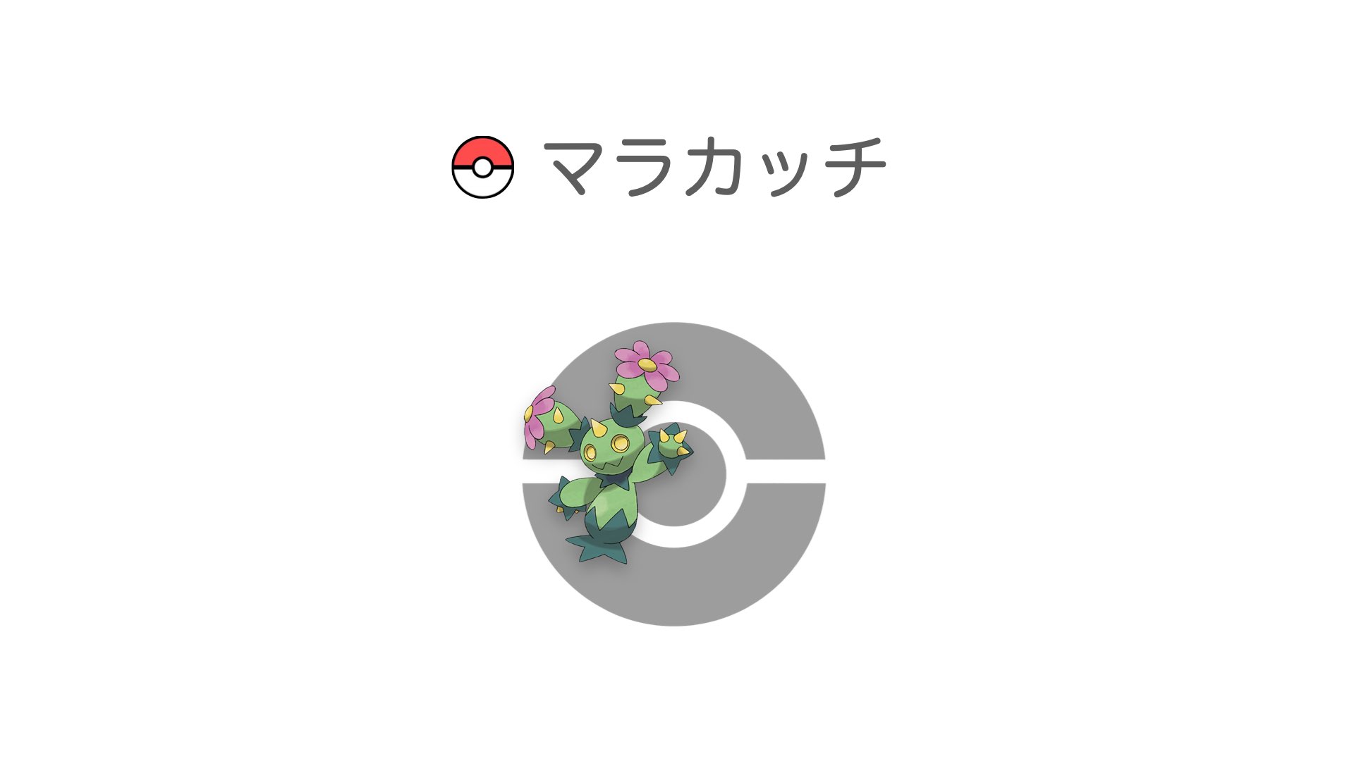 マラカッチ