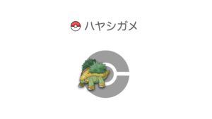 ハヤシガメ