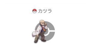 カツラ