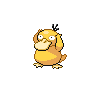 コダック