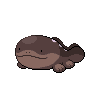 ドオー
