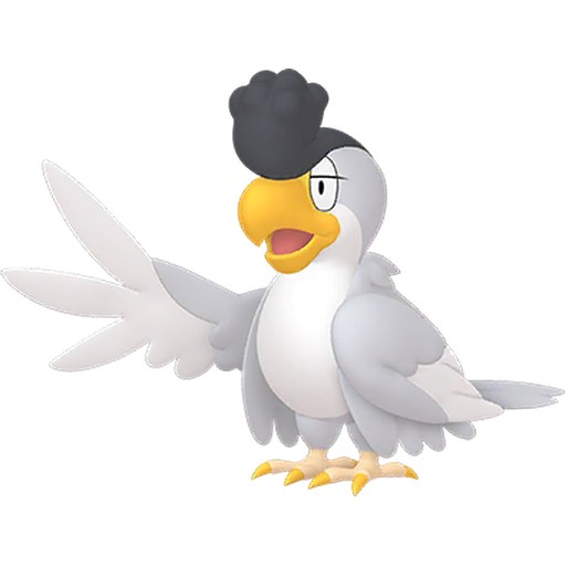 イキリンコ(ホワイトフェザー)