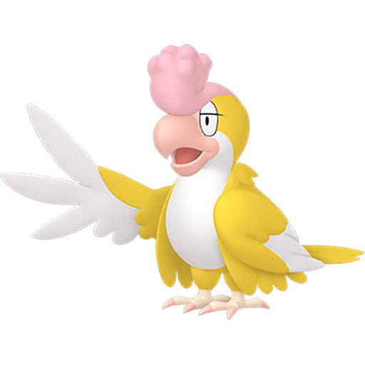 イキリンコ(イエローフェザー)