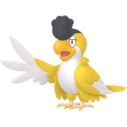 イキリンコ(イエローフェザー)