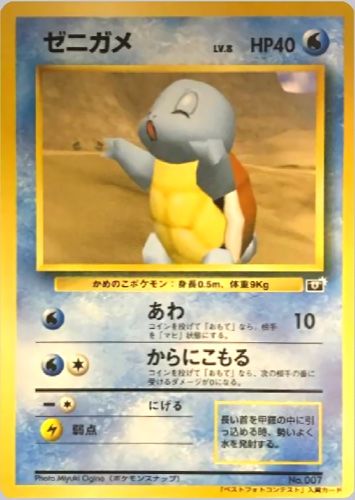 ゼニガメ（ポケモンスナップ テレビ東京 ６４マリオスタジアム 主催コンテスト）