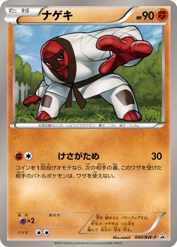 ナゲキ（ポケモンカードゲームBW ミニカードファイルセット ナゲキver. スペシャルカード）