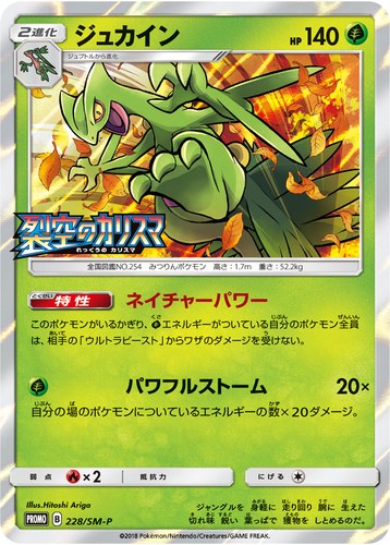 ジュカイン（ポケモンカードジム 拡張パック 裂空のカリスマ BOX購入キャンペーン）