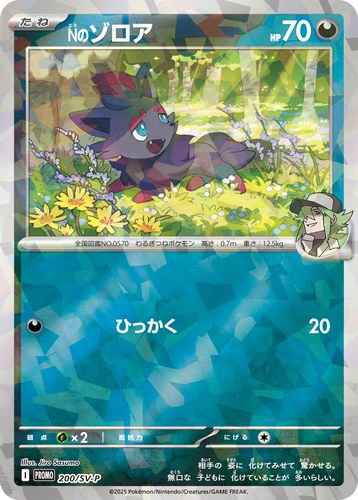Nのゾロア（コレクションファイルセット N）